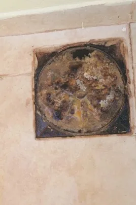 Antes: limpeza de caixa de gordura